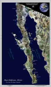 BajaScallops8.jpg